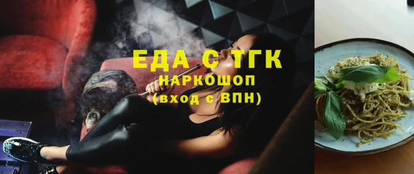 индика Покачи
