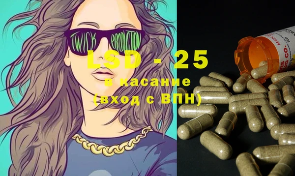 индика Покачи