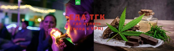 индика Покачи