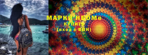 индика Покачи