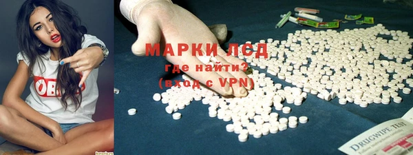 индика Покачи