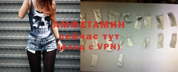 индика Покачи