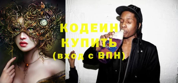 индика Покачи