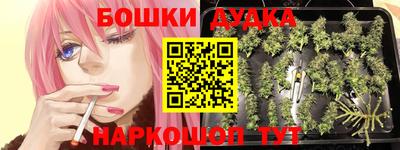 a pvp Заводоуковск