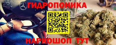 a pvp Заводоуковск