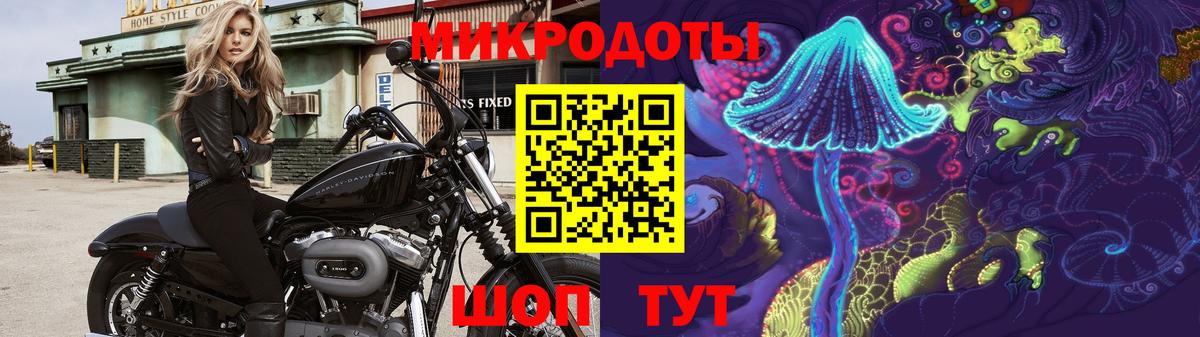 Псилоцибиновые грибы Psilocybe  Вход с VPN  Галлюциногенные грибы Psilocybe  Рузаевка 