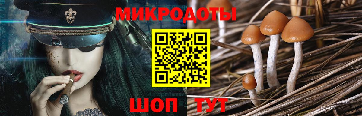 Галлюциногенные грибы мухоморы Рузаевка